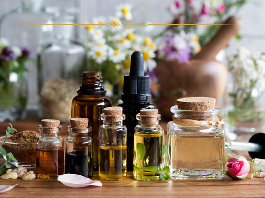 The Truth About Face Oils: Why They Aren't Bad for Your Skin